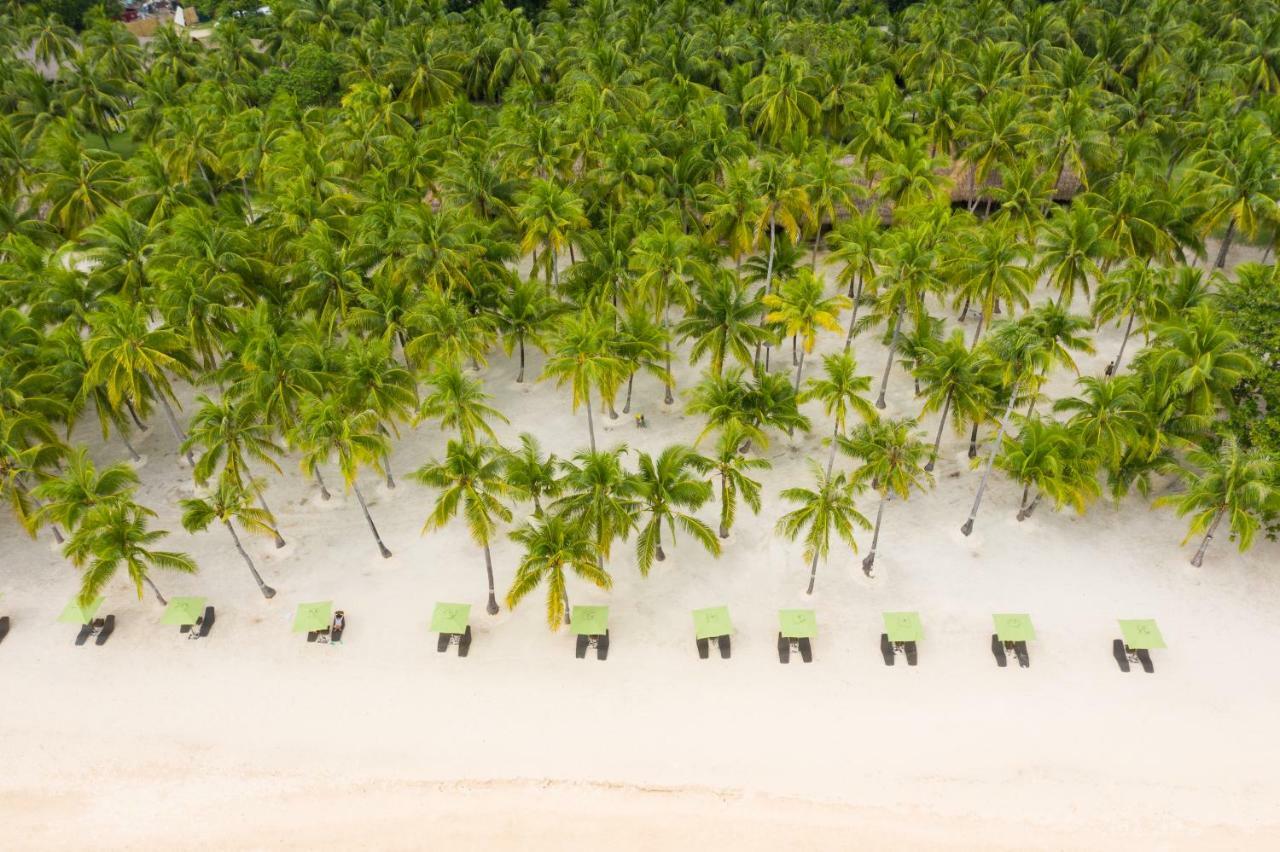 Oceanica Resort Panglao, Bohol Dış mekan fotoğraf Palm trees on the beach