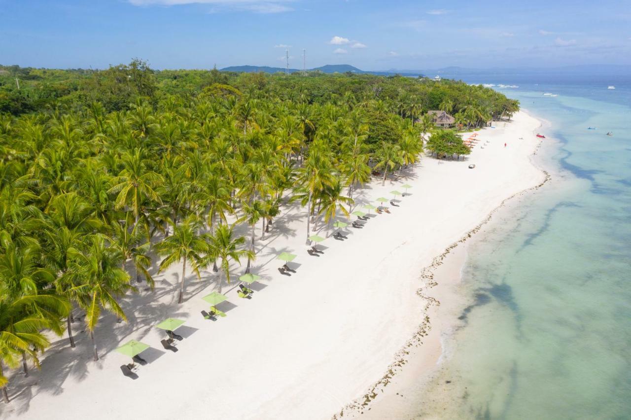 Oceanica Resort Panglao, Bohol Dış mekan fotoğraf Aerial view of the beach